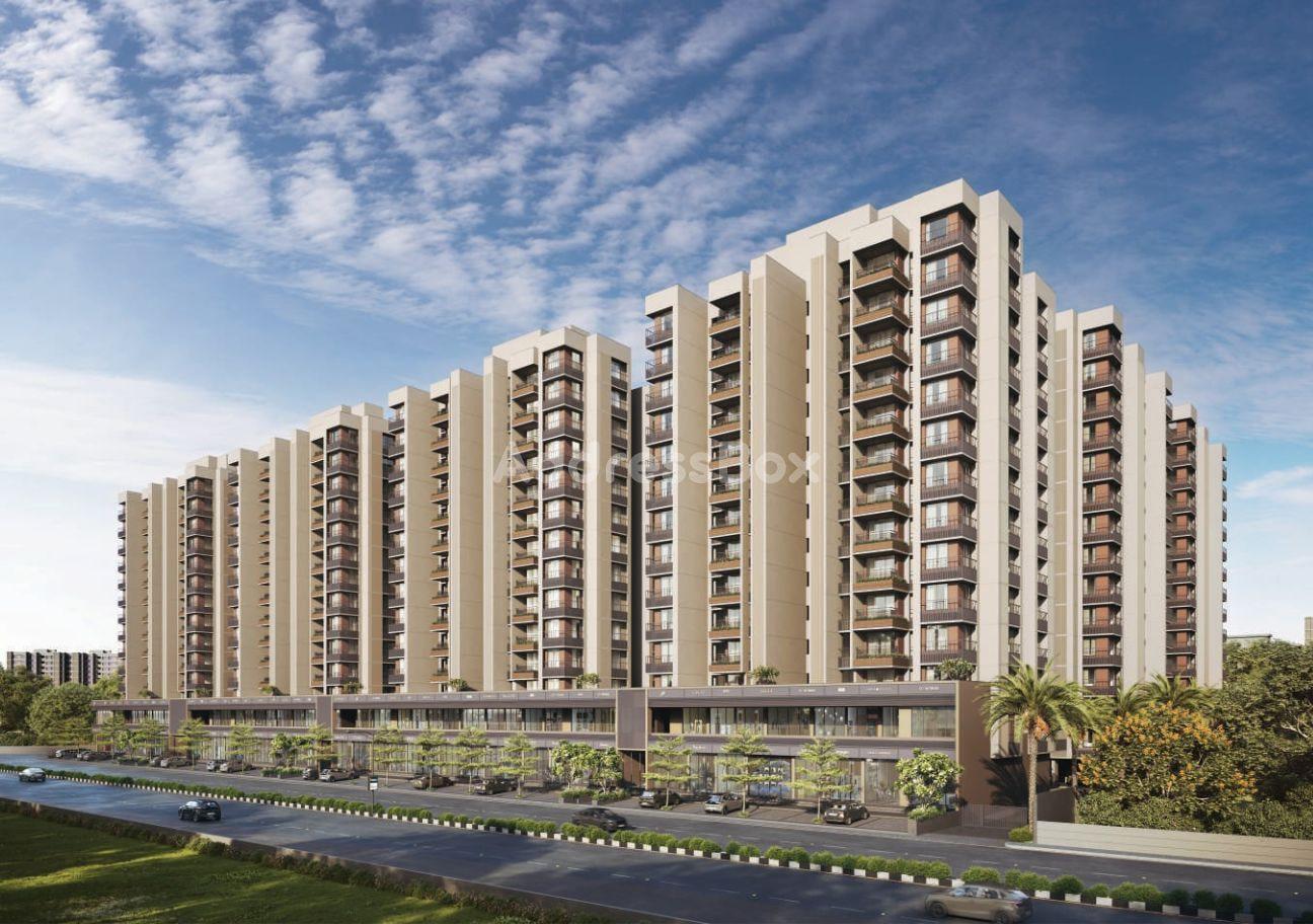 The Planet